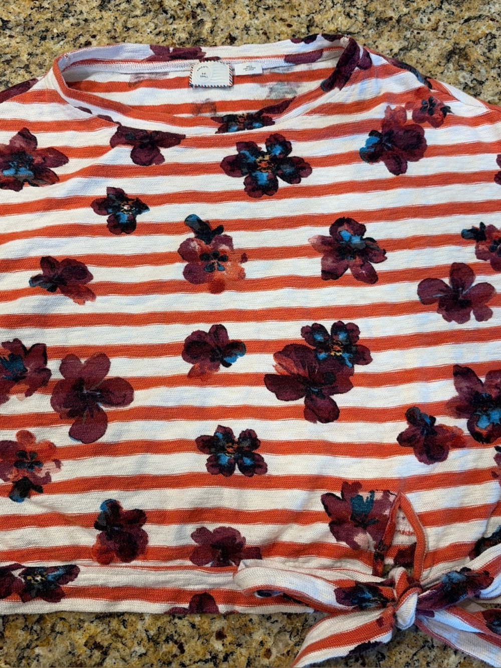Anthropologie Postmark Orange and White Striped Floral Tie-Front Crop Top